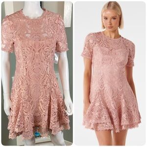 NWT NEW Ever New Melbourne Cornelia Blush Pink Layered Geo Lace Mini Dress Sz 6